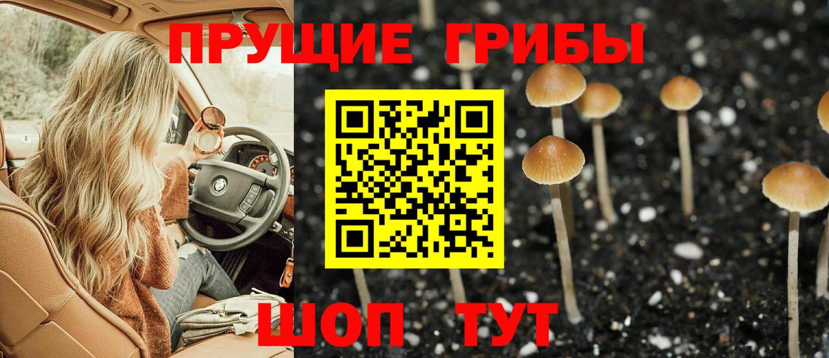 Бугульма  Псилоцибиновые грибы ЛСД  Вход с VPN 